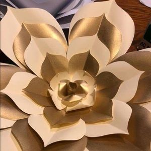 Meet your Posher, Elsa